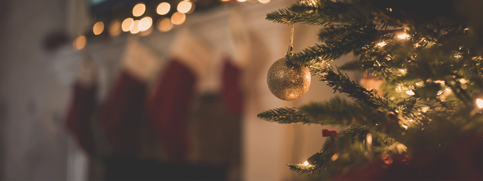 Shop Christmas Teas image